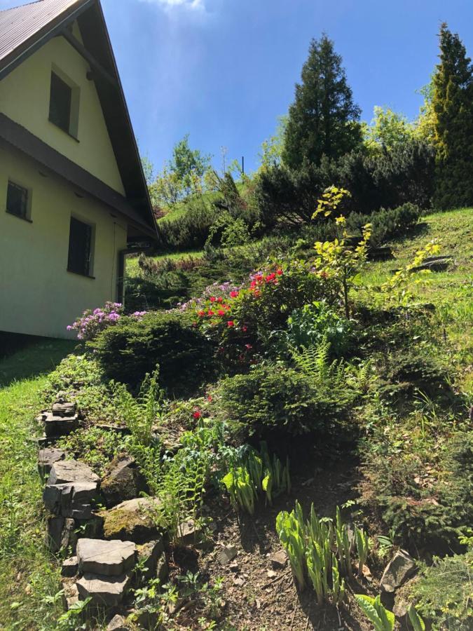 Mountain Cottage Lubomierz Lubomierz  Ngoại thất bức ảnh