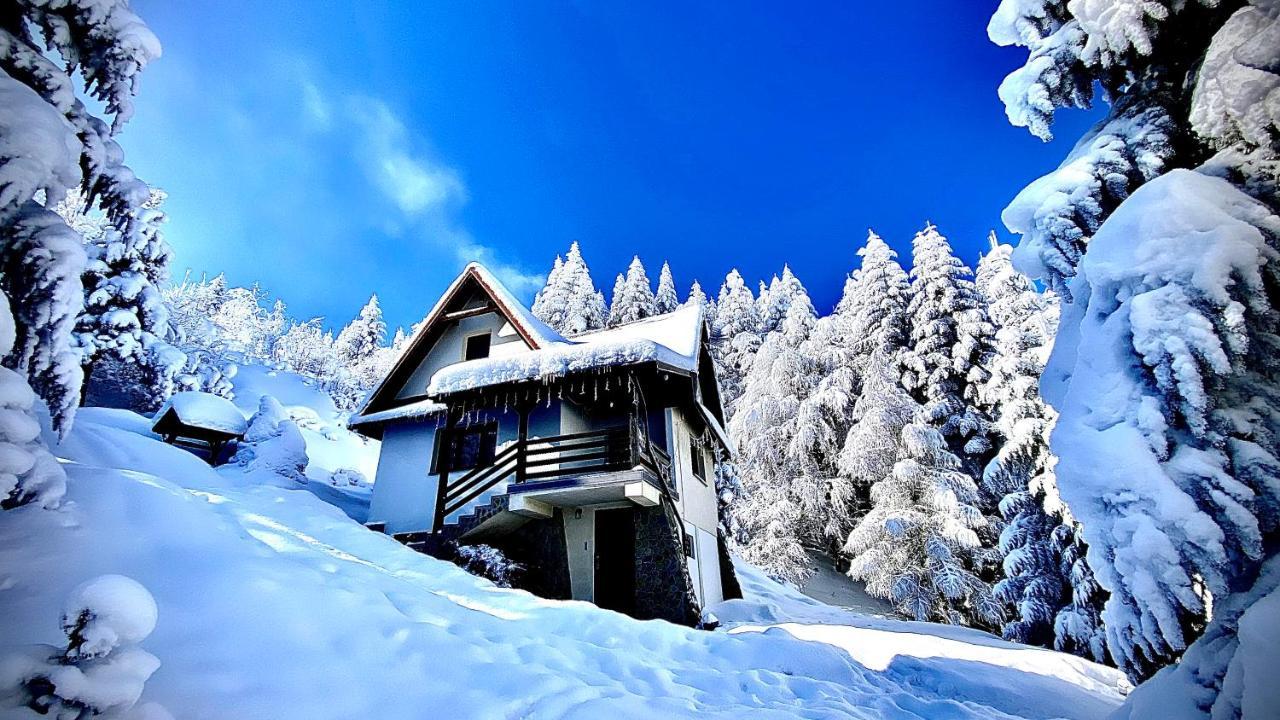 Mountain Cottage Lubomierz Lubomierz  Ngoại thất bức ảnh